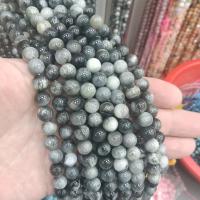 Single Gemstone Beads, Hawk-eye Stone, Round & DIY black 
