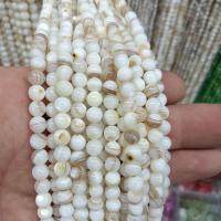 Natural Freshwater Shell Beads, Round, DIY 