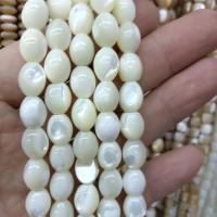 Perles de coquille de mer, DIY, plus de couleurs à choisir Environ Vendu par brin