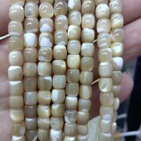 Perles de coquille de mer, DIY & normes différentes pour le choix, plus de couleurs à choisir, Vendu par brin