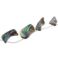 Abalone Shell Beads, DIY Approx 13.27 Inch 