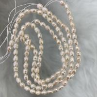 Rice Cultured Freshwater Pearl Beads, Natural & DIY, white, 4-5mm cm 