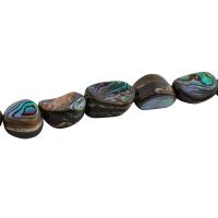 Abalone Shell Beads, DIY Approx 15.51 Inch 