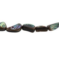 Abalone Shell Beads, DIY Approx 15.16 Inch 