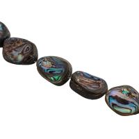 Abalone Shell Beads, DIY Approx 15.43 Inch 