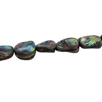 Abalone Shell Beads, DIY Approx 15.35 Inch 