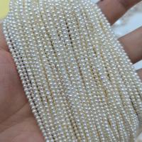 Natural Freshwater Pearl Loose Beads, Slightly Round, DIY, white, 3mm Approx 40 cm 