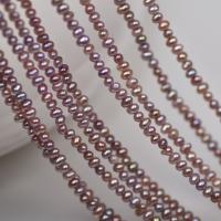 Naturales agua dulce perlas sueltas, Perlas cultivadas de agua dulce, huevotío mío, Bricolaje, Púrpura, 3mm, longitud:aproximado 40 cm, Vendido por Sarta