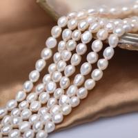 Perles nacres baroques de culture d'eau douce , perle d'eau douce cultivée, DIY, blanc, 8mm Environ 38 cm, Vendu par brin