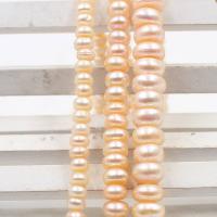 Natural Freshwater Pearl Loose Beads, Abacus, DIY Approx 38 cm 