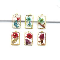 Imitation Amber Resin Pendants, with Dried Flower & Plastic Pearl & Zinc Alloy, Rectangle, gold color plated, DIY & epoxy gel Approx 