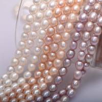 Rice Cultured Freshwater Pearl Beads, DIY 9mm Approx 38 cm 