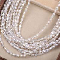 Baroque Cultured Freshwater Pearl Beads, DIY, white, 5mm Approx 38 cm 