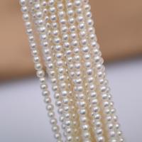 Naturel d'eau douce perles, perle d'eau douce cultivée, Légèrement rond, DIY, blanc, 3.5mm Environ 40 cm, Vendu par brin