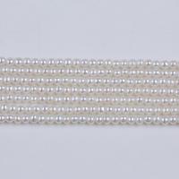 Natural Freshwater Pearl Loose Beads, Slightly Round, DIY, white, 2-2.5mm Approx 36 cm 
