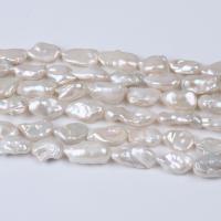 Perles nacres baroques de culture d'eau douce , perle d'eau douce cultivée, DIY, blanc, 14-15mm Environ 36 cm, Vendu par brin