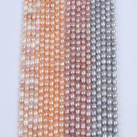 Rice Cultured Freshwater Pearl Beads, DIY 4-5mm Approx 36 cm 