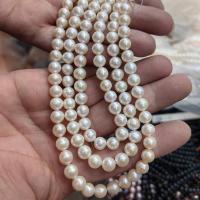 Naturales agua dulce perlas sueltas, Perlas cultivadas de agua dulce, Ligeramente redondo, Bricolaje, Blanco, 8-8.5mm, longitud:aproximado 36 cm, Vendido por Sarta