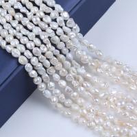 Perles nacres baroques de culture d'eau douce , perle d'eau douce cultivée, DIY, blanc, 6-8mm Environ 36 cm, Vendu par brin