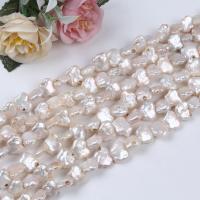 Baroque Cultured Freshwater Pearl Beads, DIY, white, 14.8mm Approx 36 cm 