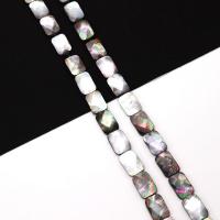 Perlas De Concha Del Labio Negro, Nácar Negra, Bricolaje, Negro, 13mm, longitud:aproximado 38 cm, Vendido por Sarta[