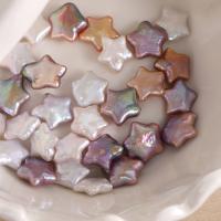 No Hole Cultured Freshwater Pearl Beads, Star, DIY 13-15mm 