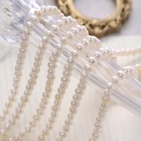 Natural Freshwater Pearl Loose Beads, egg, DIY white [