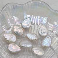Perle de culture d'eau douce forme goutte, perle d'eau douce cultivée, larme, DIY & aucun trou, blanc, 13-14mm, Vendu par PC
