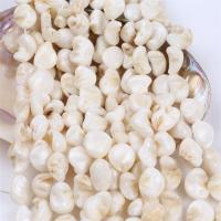 Perles en coquille naturel, coquille d'eau douce, DIY, blanc Environ 36 cm, Vendu par brin