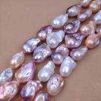 Barock kultivierten Süßwassersee Perlen, Natürliche kultivierte Süßwasserperlen, DIY, gemischte Farben, 15mm, Länge:ca. 38 cm, verkauft von Strang