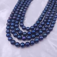 Naturel d'eau douce perles, perle d'eau douce cultivée, Légèrement rond, DIY, noire, Length about 9-10mm Environ 38 cm, Vendu par brin