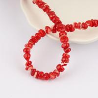Turbanschnecken Perlen, Klumpen, poliert, DIY, keine, 6-8mm, Länge:ca. 38 cm, ca. 100PCs/Strang, verkauft von Strang