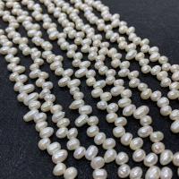 Rice Cultured Freshwater Pearl Beads, DIY, white, aboutuff1a5-6mm Approx 38 cm 