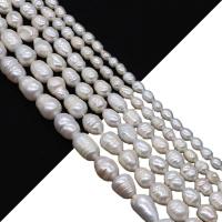 Rice Cultured Freshwater Pearl Beads, DIY white Approx 38 cm 