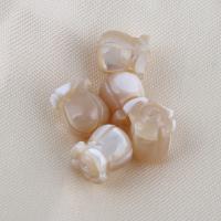 Turbanschnecken Perlen, DIY, 8.3x7.5mm, Bohrung:ca. 1mm, verkauft von PC[