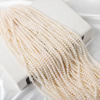 Naturel d'eau douce perles, perle d'eau douce cultivée, Légèrement rond, DIY, blanc, 5-5.5mm Environ 37 cm, Vendu par brin