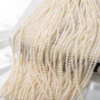 Naturel d'eau douce perles, perle d'eau douce cultivée, Légèrement rond, DIY, blanc, 4.5-5mm Environ 37 cm, Vendu par brin