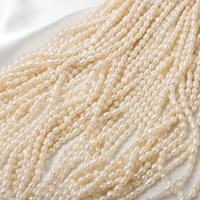 Бусины из искусственного пресноводного жемчуга в форме риса, Пресноводные жемчуги, Рисообразная, DIY, белый, 4-4.5mm, длина:Приблизительно 37 см, продается Strand