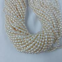 Rice Cultured Freshwater Pearl Beads, DIY, white, 4-5mm Approx 37 cm 