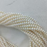 Natural Freshwater Pearl Loose Beads, Flat Round, DIY, white, 5-6mm Approx 37 cm 