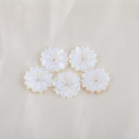 Natürliche weiße Muschelperlen, Blume, DIY, weiß, 14.4x2.4mm, verkauft von PC[