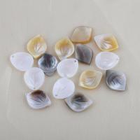 Perles en coquille naturel, feuille, DIY, plus de couleurs à choisir Vendu par PC