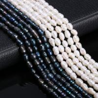 Rice Cultured Freshwater Pearl Beads, DIY 5-6mm Approx 38 cm 