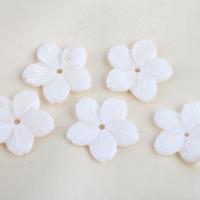 Trochus perles, Haut Coque, fleur, DIY, blanc Environ 1.4mm, Vendu par PC