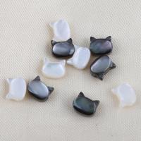 Natural Freshwater Shell Beads, Cat, DIY 