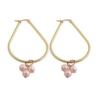 Stainless Steel Drop Earring, 304 Stainless Steel, with Plastic Pearl, fashion jewelry & for woman, golden 