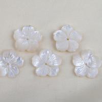 Бусины из натуральных белых ракушек, Белая ракушка, Форма цветка, DIY, белый отверстие:Приблизительно 1mm, продается PC
