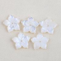 Abalorios de Nácar Blanca Natural, Flor, Bricolaje, Blanco, 11.3x2.1mm, Vendido por UD