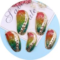 Brass Shell Pendants, with Brass, gold color plated, DIY, rainbow colors, Length about 22-31mm,Hight about 45-64mm 