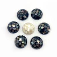 Mosaic Shell Cabochon, White Shell, with Black Shell, Dome, DIY 15mm 